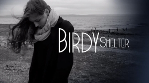 birdy_shelter